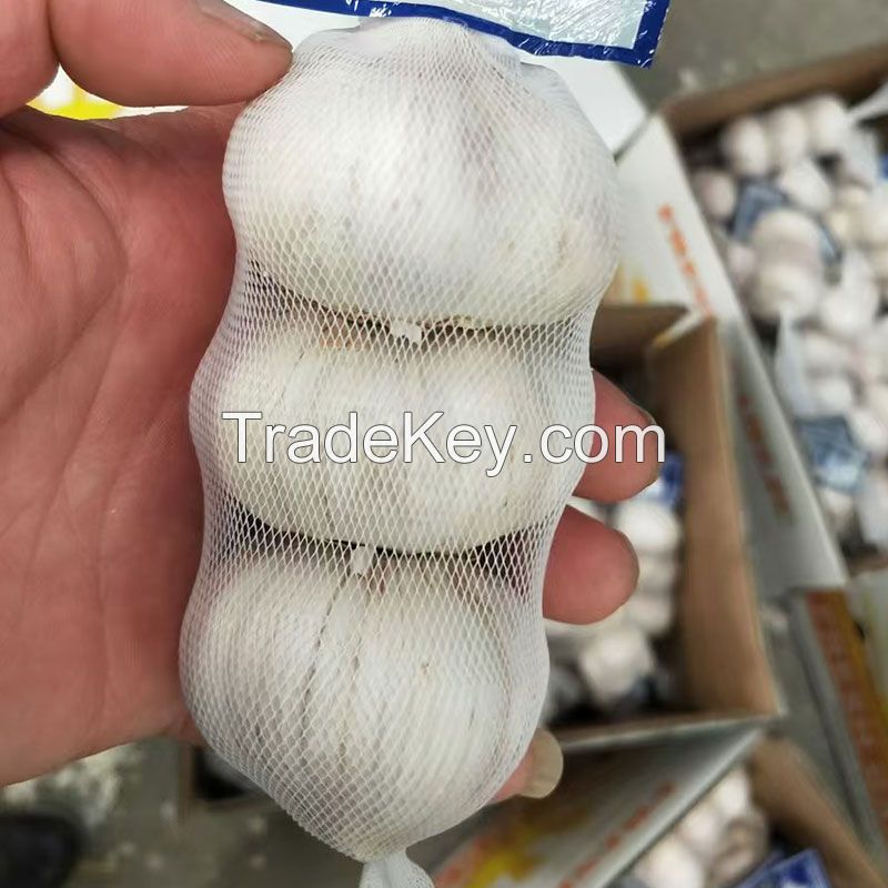 New Crops Fresh Garlic White Garlic and GARLIC POWDER