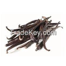 Buy Wholesale Vanilla Planifolia Dry and Oily Vanilla Beans Available in Bulk Quantity From India at Best Price