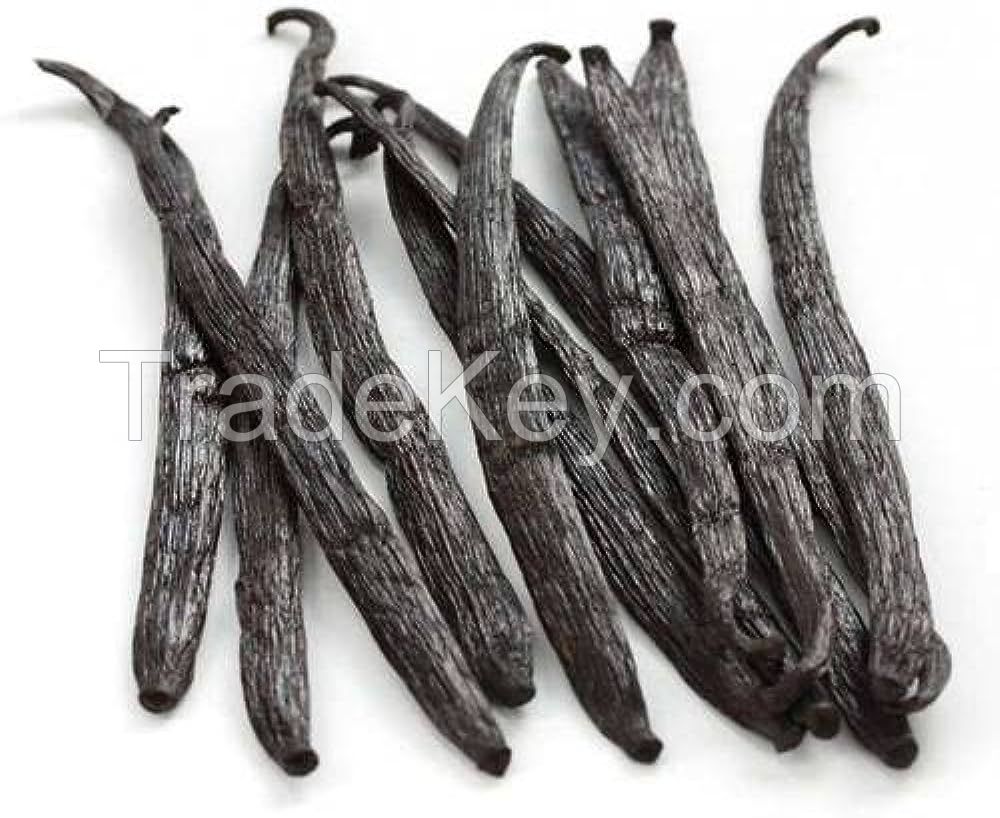 Buy Wholesale Vanilla Planifolia Dry and Oily Vanilla Beans Available in Bulk Quantity From India at Best Price