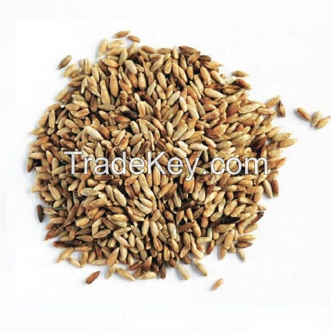 Organic Rye Grains /Organics Certified Organic Rye Berries |5lbs Whole Rye Grains |Great for Breads Wholesale Organic