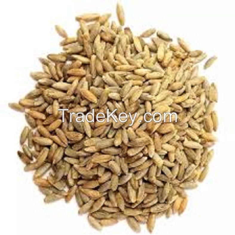 Organic Rye Grains /Organics Certified Organic Rye Berries |5lbs Whole Rye Grains |Great for Breads Wholesale Organic