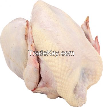 Halal Certified Frozen Chicken Frozen Whole Turkeys and Turkeys Parts for Sale