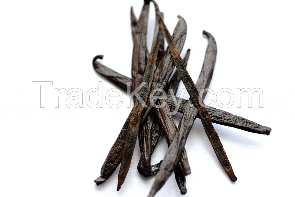 Buy Wholesale Vanilla Planifolia Dry and Oily Vanilla Beans Available in Bulk Quantity From India at Best Price