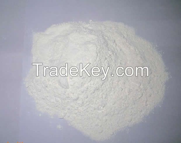Discount Sale Dried Corn Starch Maize Corn Starch-Modified Flour Made From Wheat Durum Wheat Rice Packaged in Bag