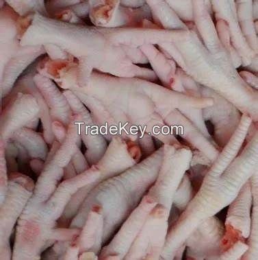 Best Sale Frozen Chicken Paws / Wholesale Price Frozen Chicken Feet / Frozen Whole Chicken for Human Consumption