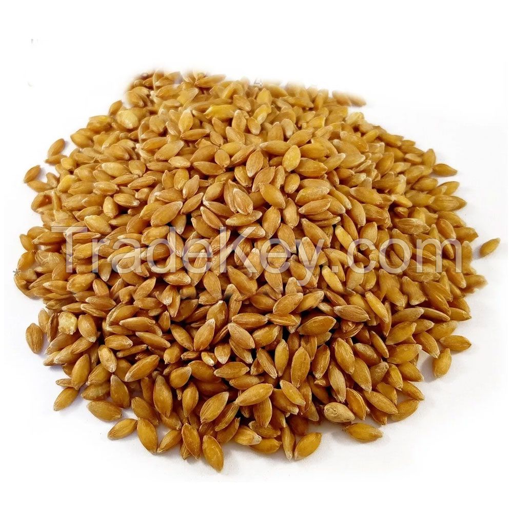 Best Quality Durum Wheat Semolina Flour Quality Rice Flour Bulk Packed