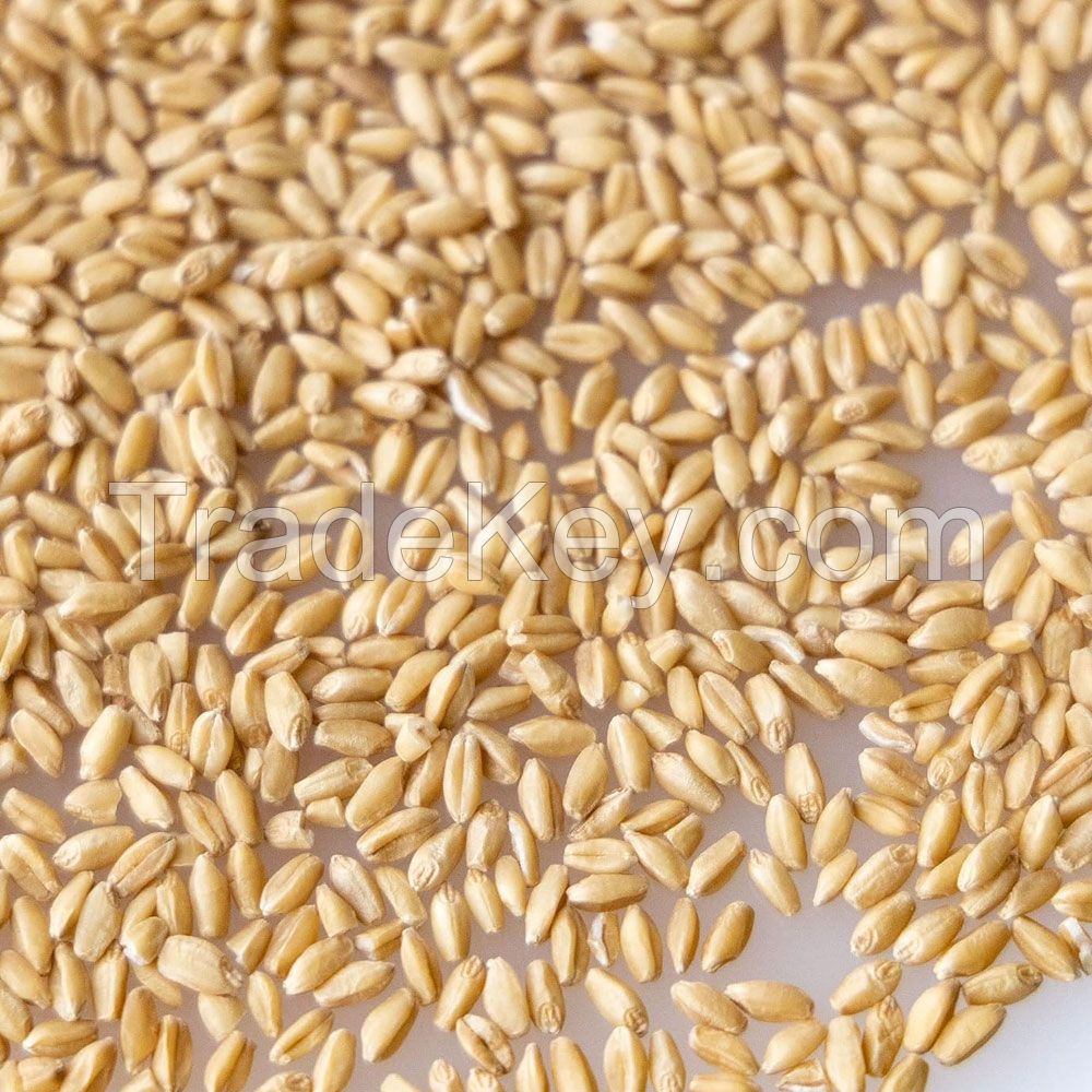 Best Quality Durum Wheat Semolina Flour Quality Rice Flour Bulk Packed