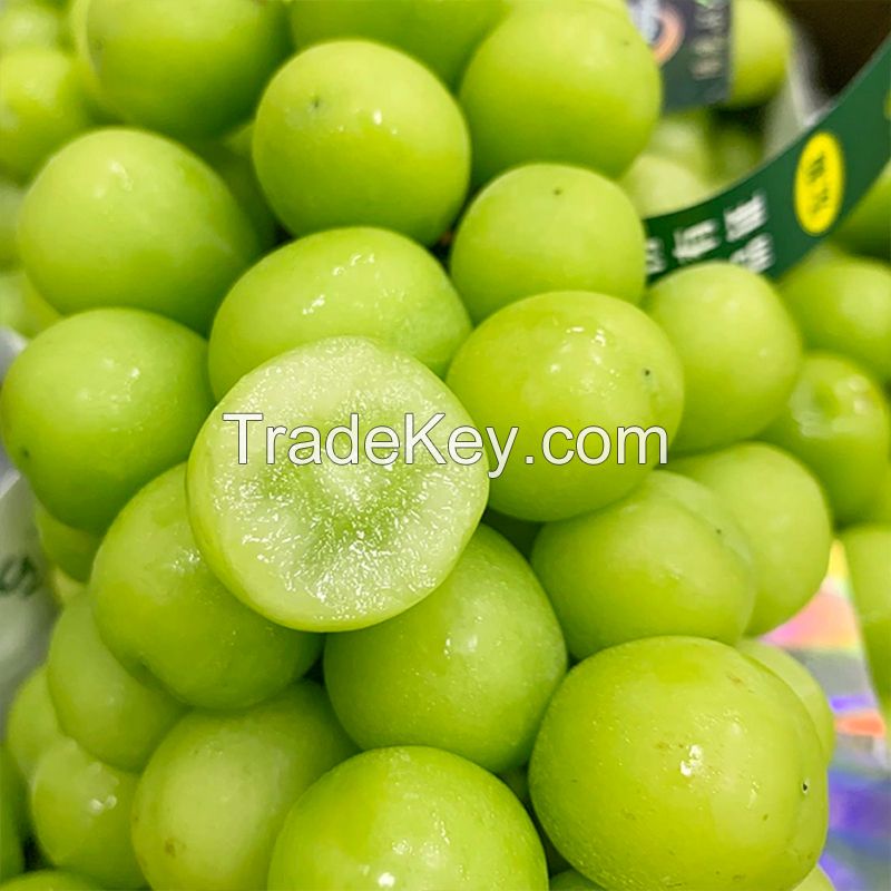 Best Quality New Fresh Green Grapes Crimson Seedless Fresh Fruit Grape for Export.