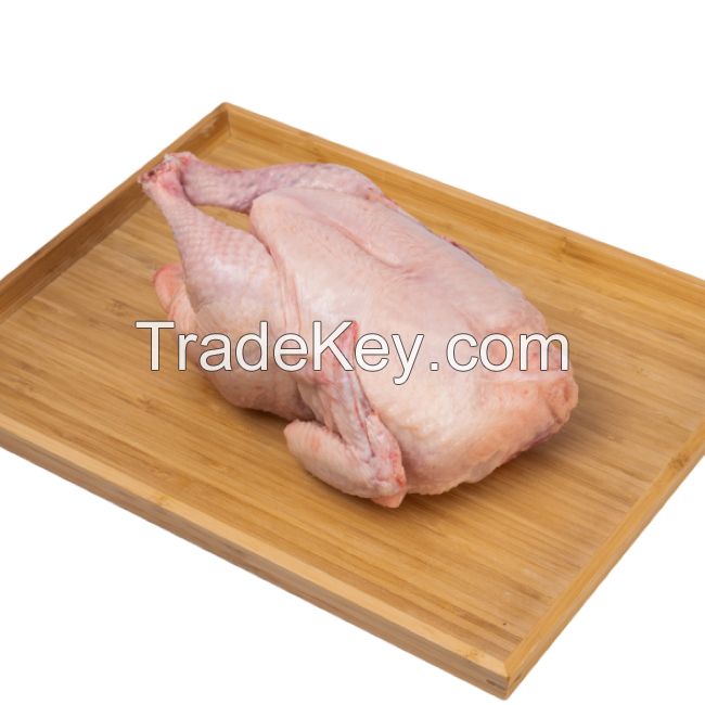 Wholesale Premium Supplier ! Halal Frozen Whole Chicken Halal Chicken Processed Meat