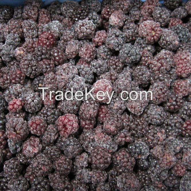 IQF Freeze Frozen Fresh Blackberry Wild Unsweetened Blackberries Fruit Wholesale