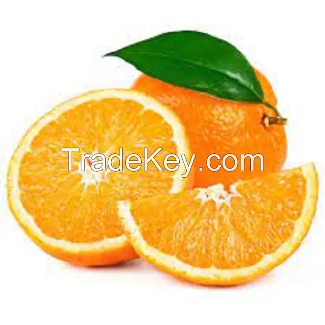 Valencia Oranges / Fresh Orange - Wholesale for Orange Fruit with High Quality Cheap Price Global Best