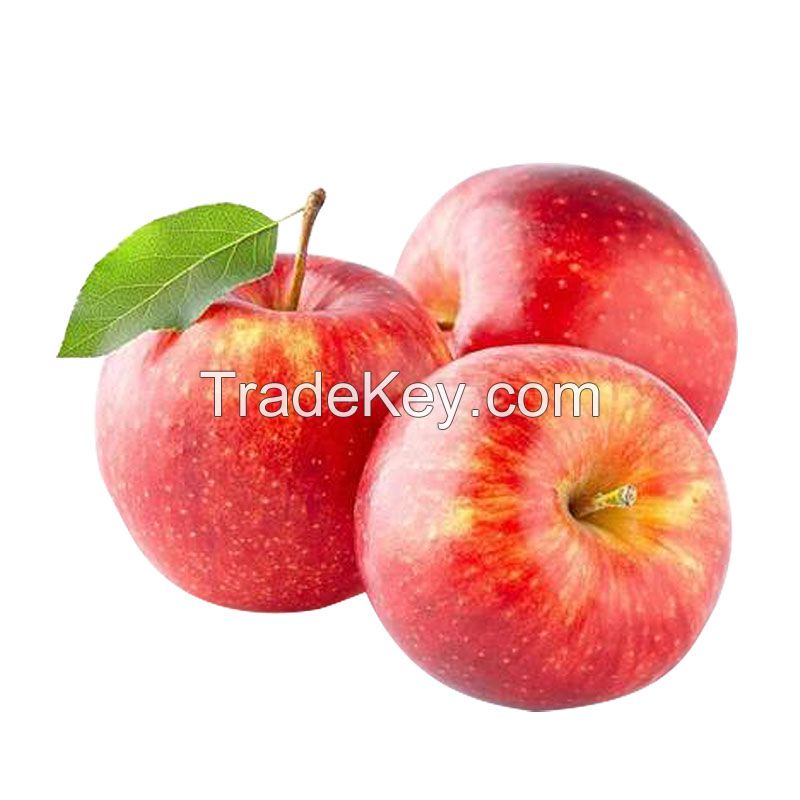 Best Quality Sweet Delicious Fresh Apple Fruit Price Latest Picking Fresh Apple