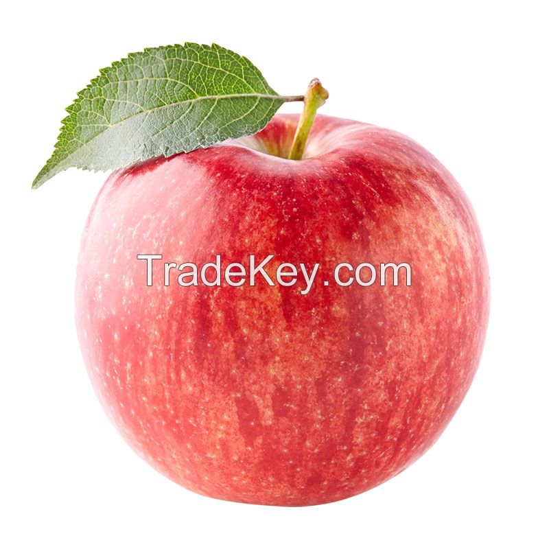 Best Quality Sweet Delicious Fresh Apple Fruit Price Latest Picking Fresh Apple