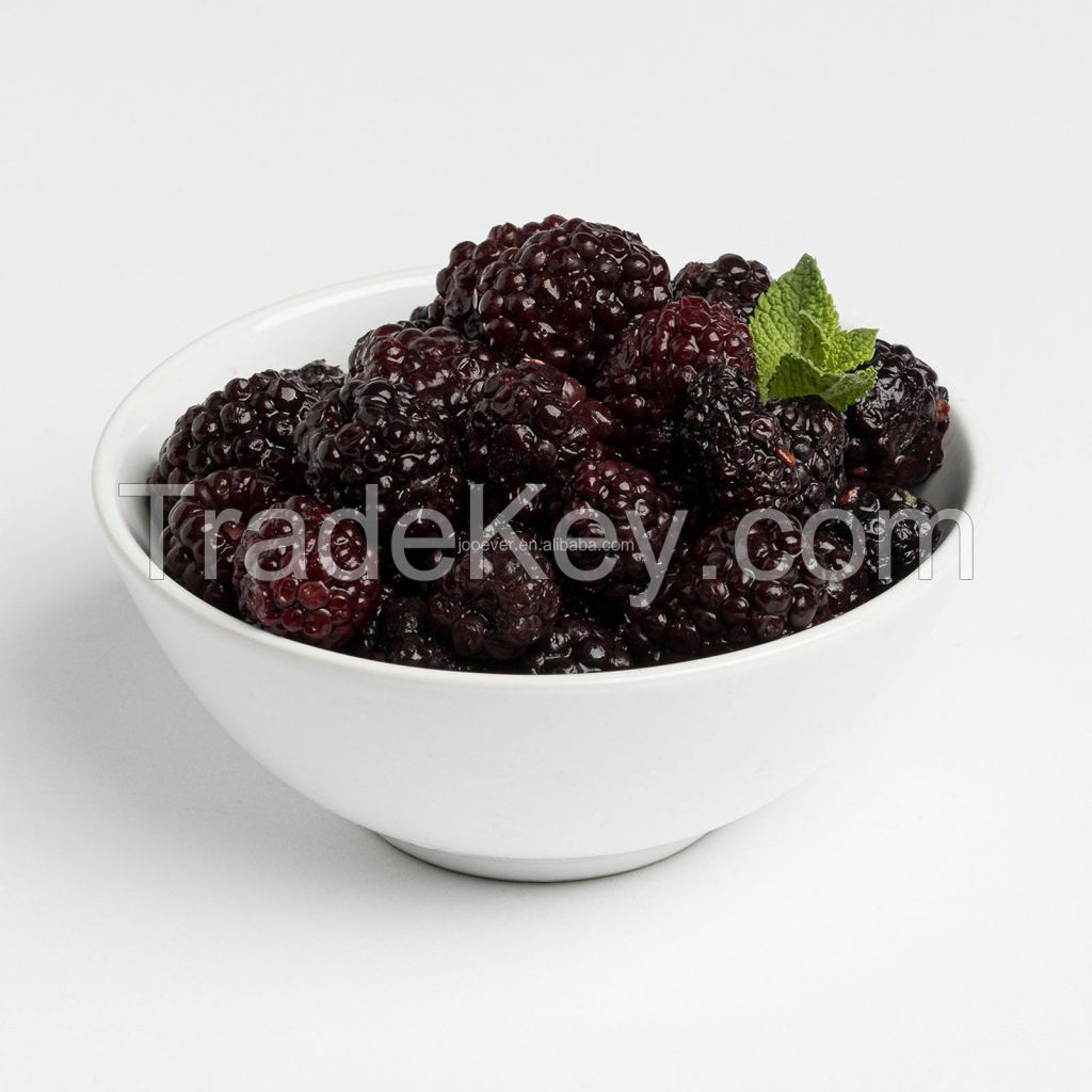 Hot Selling Blackberry Wild Unsweetened Blackberries Fruit Wholesale