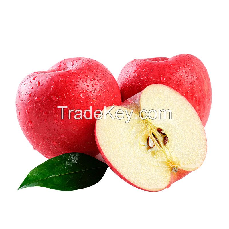 Best Quality Sweet Delicious Fresh Apple Fruit Price Latest Picking Fresh Apple