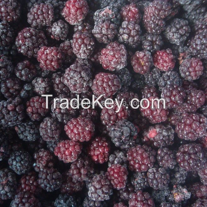 IQF Freeze Frozen Fresh Blackberry Wild Unsweetened Blackberries Fruit Wholesale