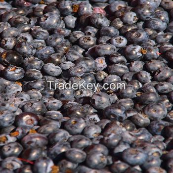 High Quality Origin Fresh Fruit Best Grade Delicious Frozen Wild Blueberries with Juice or Jam or Wholesales