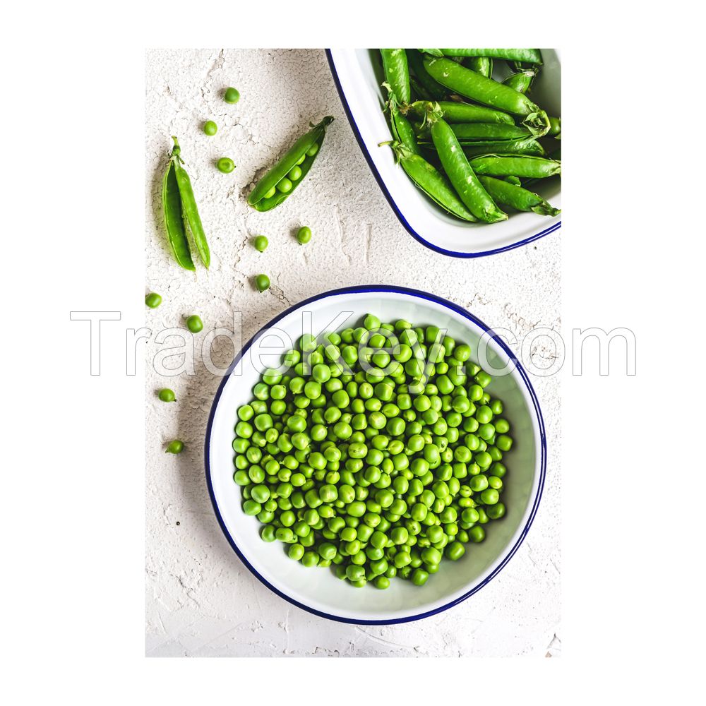 Premium Green Peas Protein Rich Nutritious Fresh Green Matar Green Beans Pisum Sativum Matar Dal Healthy Legumes