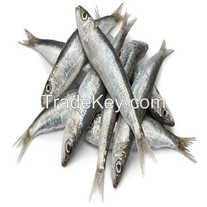 High Quality Hot Sale Bulk Price Custom Fresh Whole Round Frozen Seafood Fish Pacific Canned Herring Fish