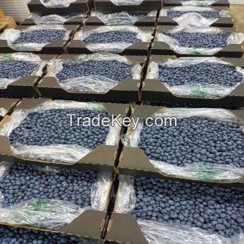 High Quality Origin Fresh Fruit Best Grade Delicious Frozen Wild Blueberries with Juice or Jam or Wholesales