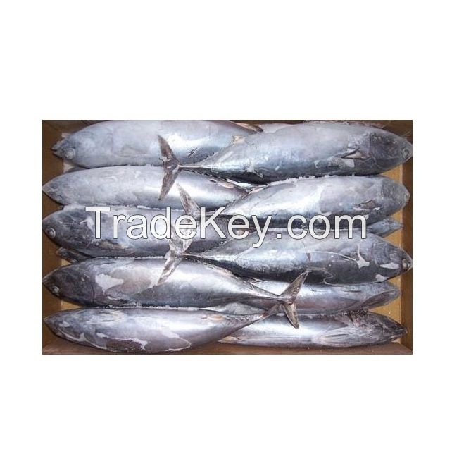 Frozen Precooked Skipjack Tuna Whole Round Fresh Water Preserved Yellowfin Tuna Fat Dried Canned Styles-Vinegar Preservation