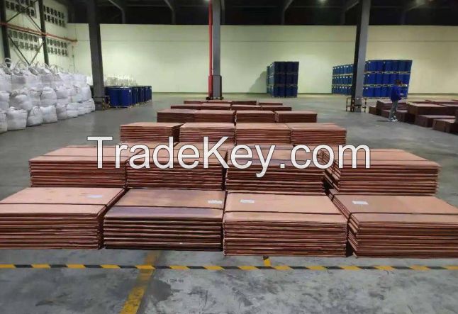 Factory Price Copper Cathodes Plates Sheet/Copper Ingot/ Copper Cathode Cu 99.99%