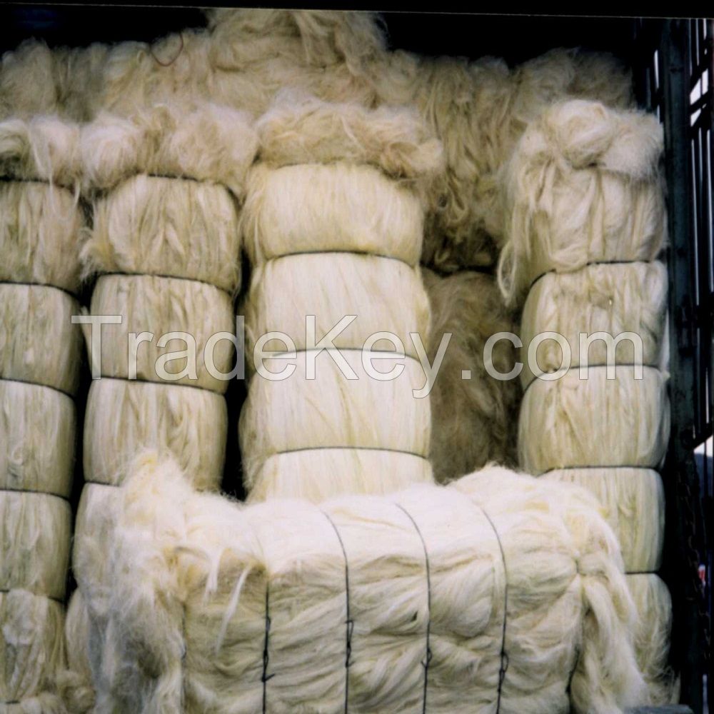 High Quality 100% Natural White Sisal Fibre UG Grade Sisal Fibre for Gypsum Board for Sale