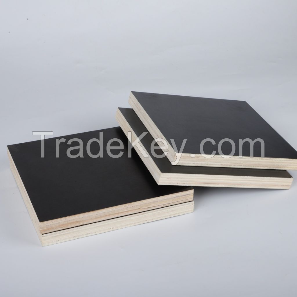 12mm 15mm 18mm Factory Price Hot Selling Film Faced Plywood for Constructions and Building