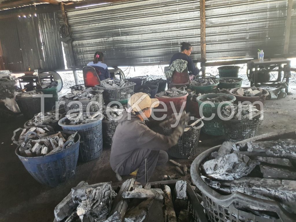 WHITE CHARCOAL BICHOTAN Best Quality From Hardwood Charcoal Grill Manufactured GF Vietnam