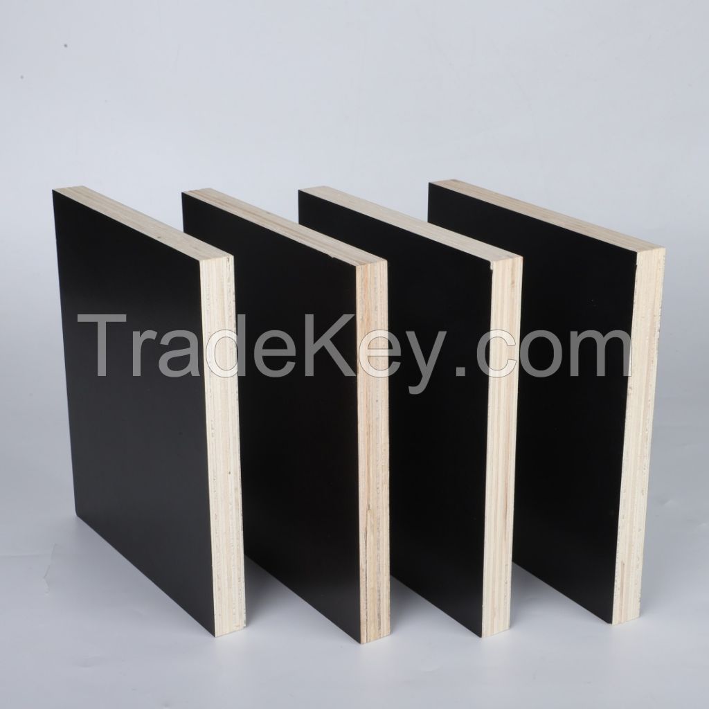 12mm 15mm 18mm Factory Price Hot Selling Film Faced Plywood for Constructions and Building