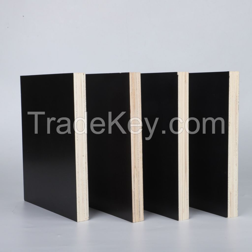 12mm 15mm 18mm Factory Price Hot Selling Film Faced Plywood for Constructions and Building