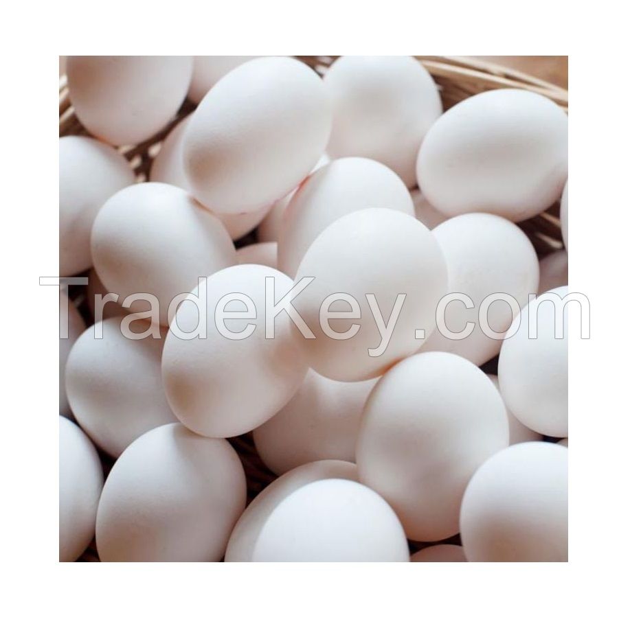 High Quality Cheap Wholesale Price White / Brown Shell Fresh Table Chicken Eggs for Sale