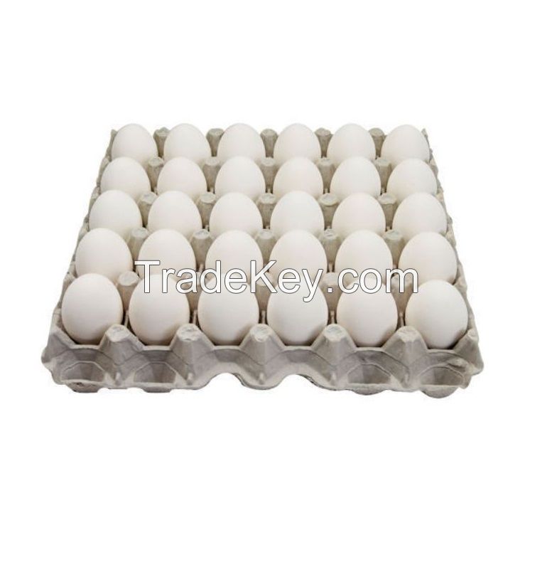 Organic White Chicken Eggs Competitive Price Wholesale From VIETNAM - FREE Tax Export to Japan, EU, USA