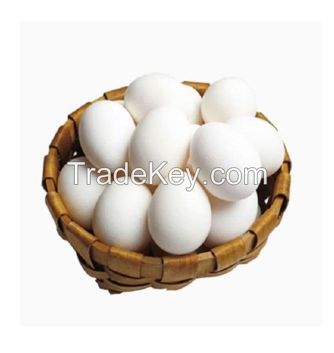 High Quality Cheap Wholesale Price White / Brown Shell Fresh Table Chicken Eggs for Sale
