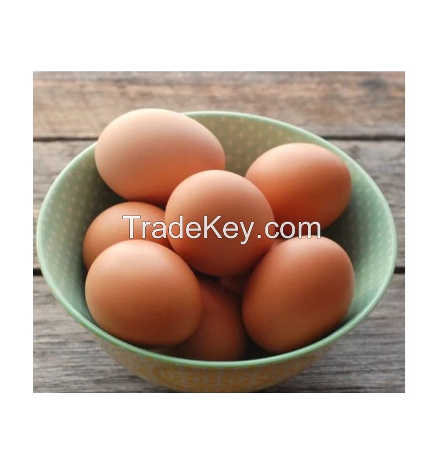 Buy Farm Fresh Fertile Brown Fresh Chicken Table Eggs/ Ostrich Eggs/Chicks/ for Sale
