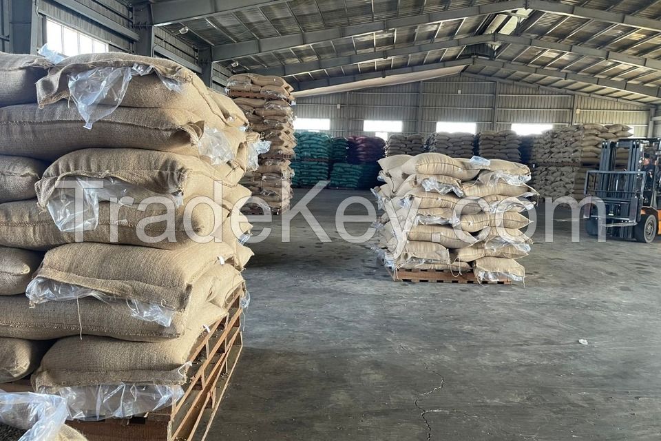 High Quality 2KG Vietnam-Sourced Arabica Green Coffee Beans Wholesome Ready for Export Low Order Accepted