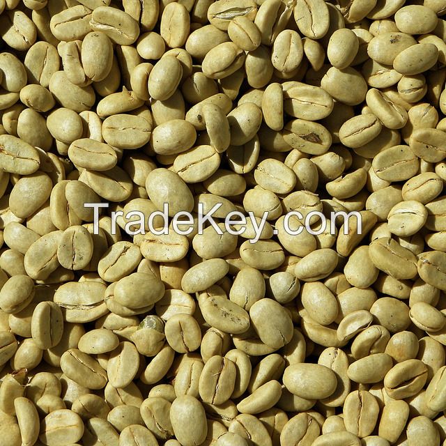 High Quality 2KG Vietnam-Sourced Arabica Green Coffee Beans Wholesome Ready for Export Low Order Accepted