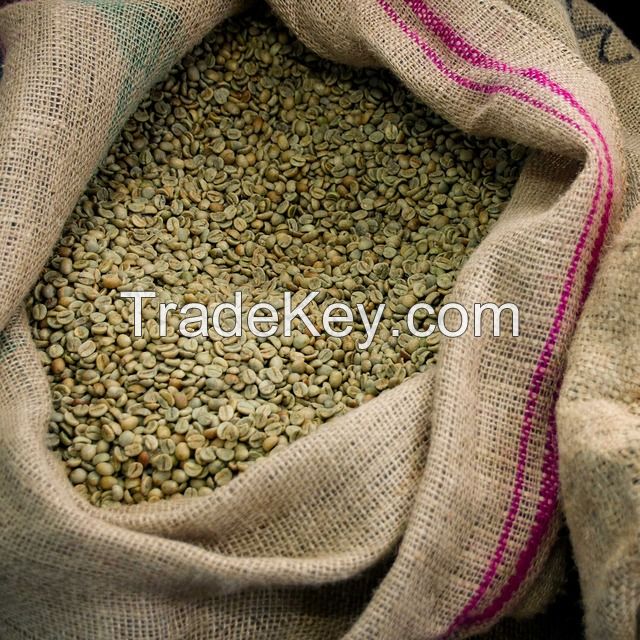 High Quality 2KG Vietnam-Sourced Arabica Green Coffee Beans Wholesome Ready for Export Low Order Accepted