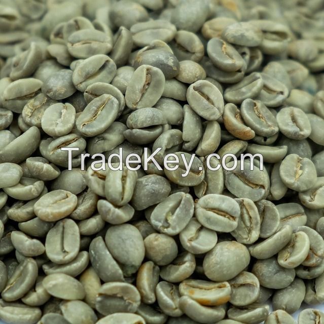 High Quality Robusta Green Coffee Bean Made In Vietnam Single Origin Best Quality Coffee Beans For Export