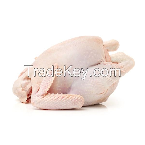 Frozen Whole Chicken Frozen Chicken for Sale Brazil Halal Whole Chicken Clean for Sale
