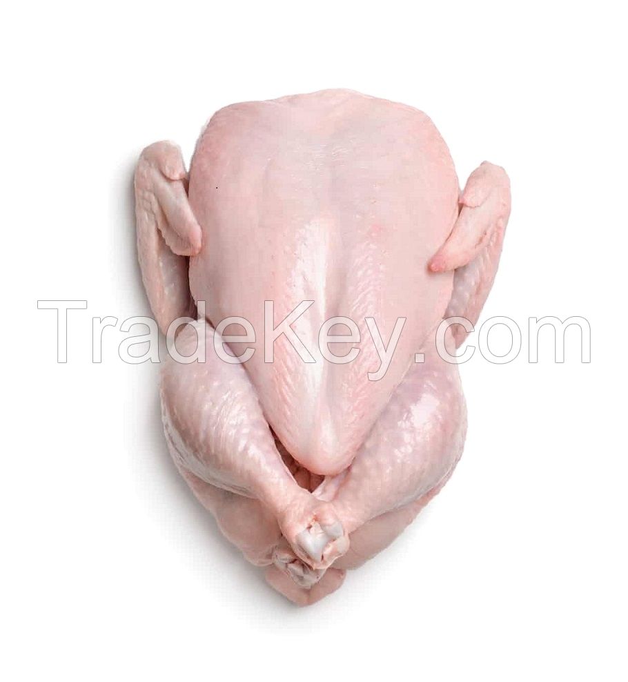 Frozen Whole Chicken Frozen Chicken for Sale Brazil Halal Whole Chicken Clean for Sale