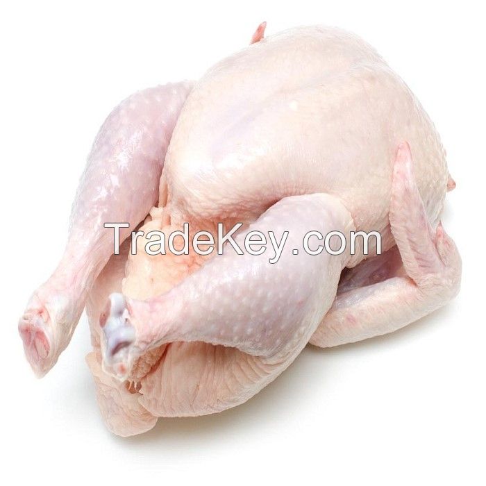 Frozen Whole Chicken Frozen Chicken for Sale Brazil Halal Whole Chicken Clean for Sale