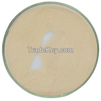 Ã¢ï¿½ï¿½E234 Natural Preservative 1000IU Nisin Food Preservative Nisin Powder Nisin