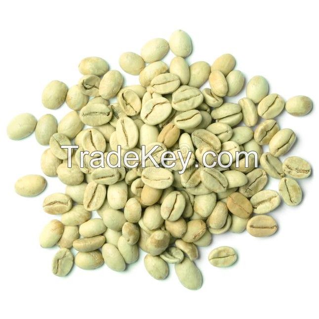 Top Selling Vietnam Green Coffee Beans Robusta Arabica Raw Coffee Beans Competitive Price for Import Ready to Ship