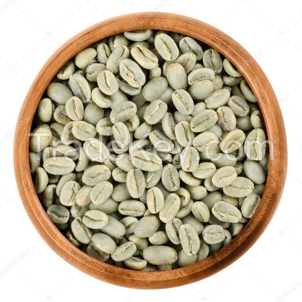 Green Coffee Beans for Sale ROBUSTA GREEN COFFEE BEANS HIGH QUALITY REASONABLE PRICE