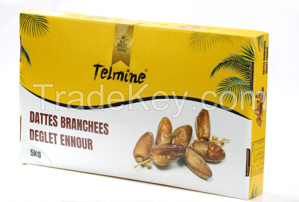 TUNISIE DATES