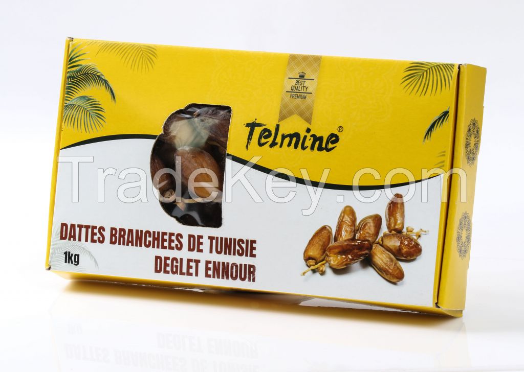 TUNISIE DATES