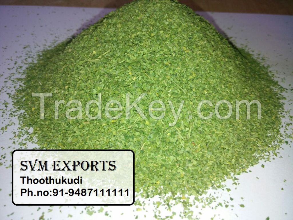 moringa tea cut leaf