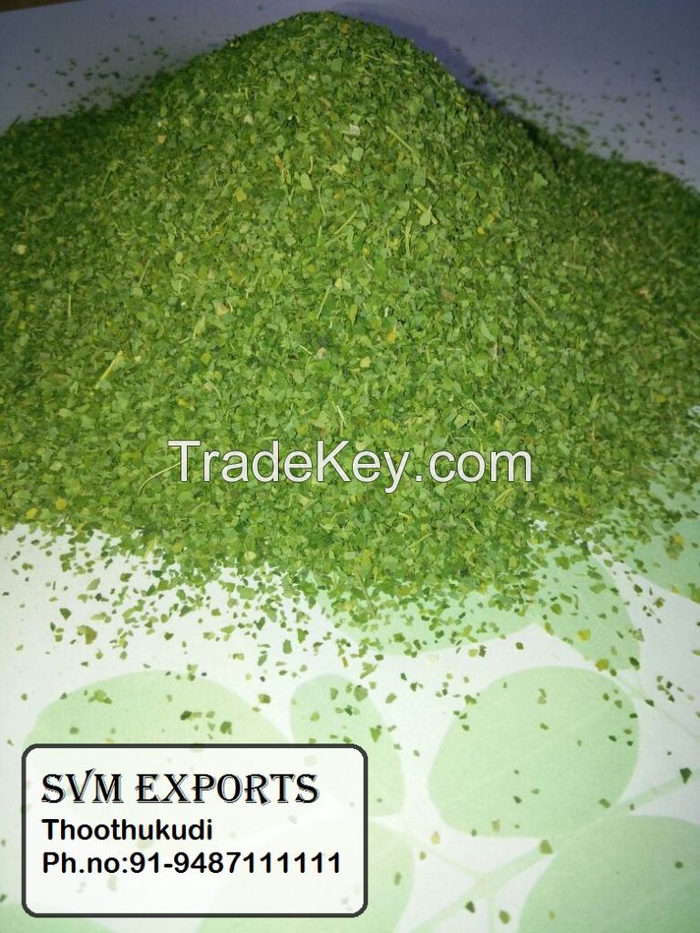 moringa tea cut leaf