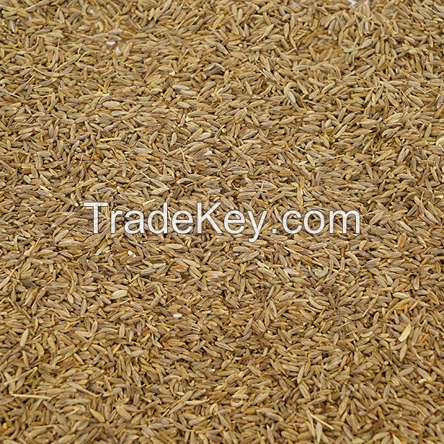 High Quality Chinese spice good prices of raw import cumin seeds ground cumin seed price